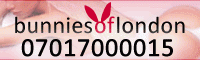 Bunnies Of London Banner